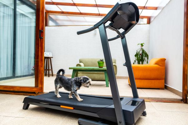 Treadmill Installation in Frederick